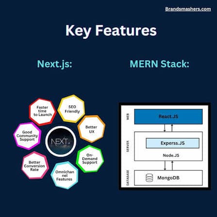 MERN Stack & Next.js preview