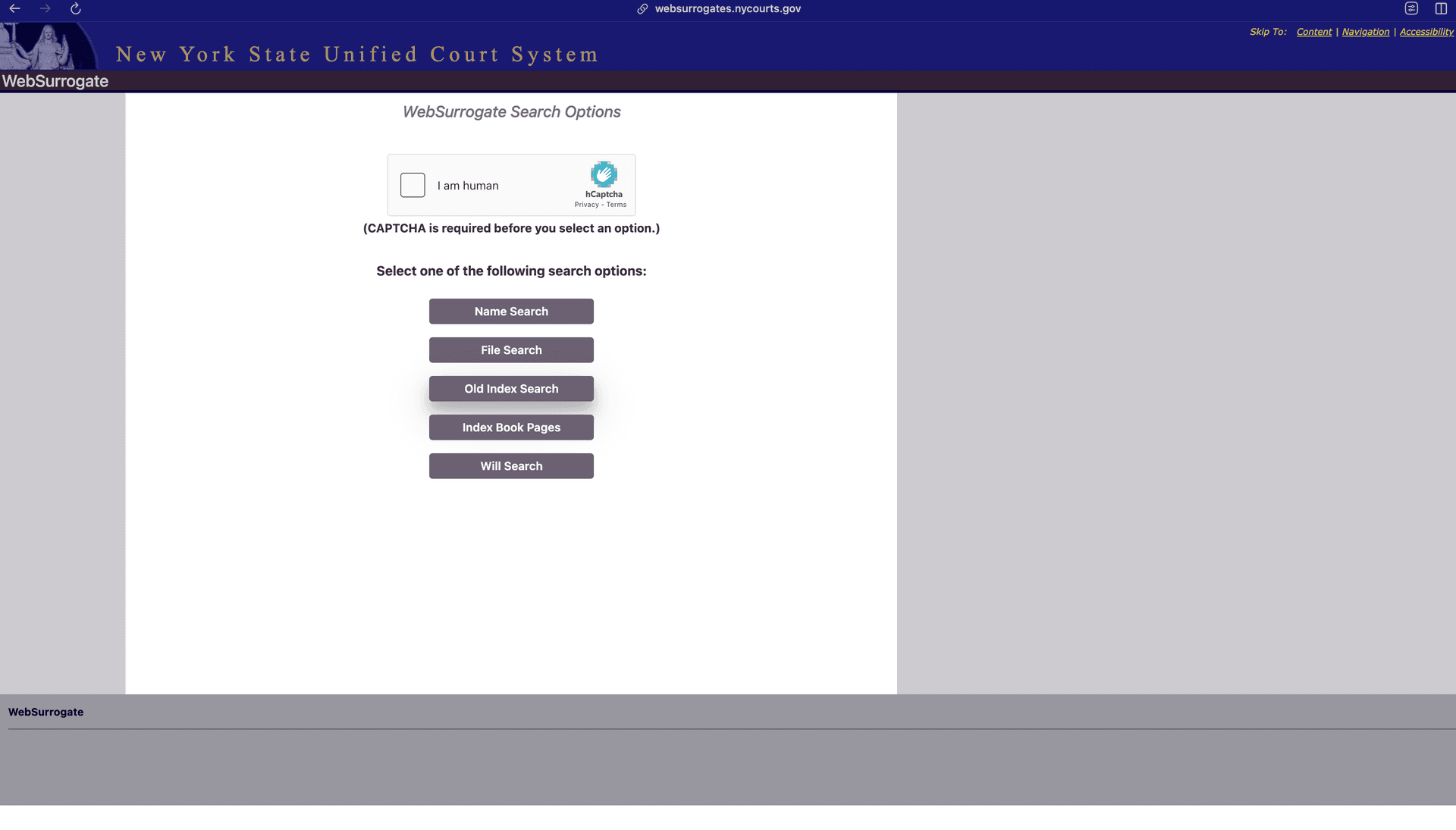 New York Surrogate Court Scraper — screenshot 2