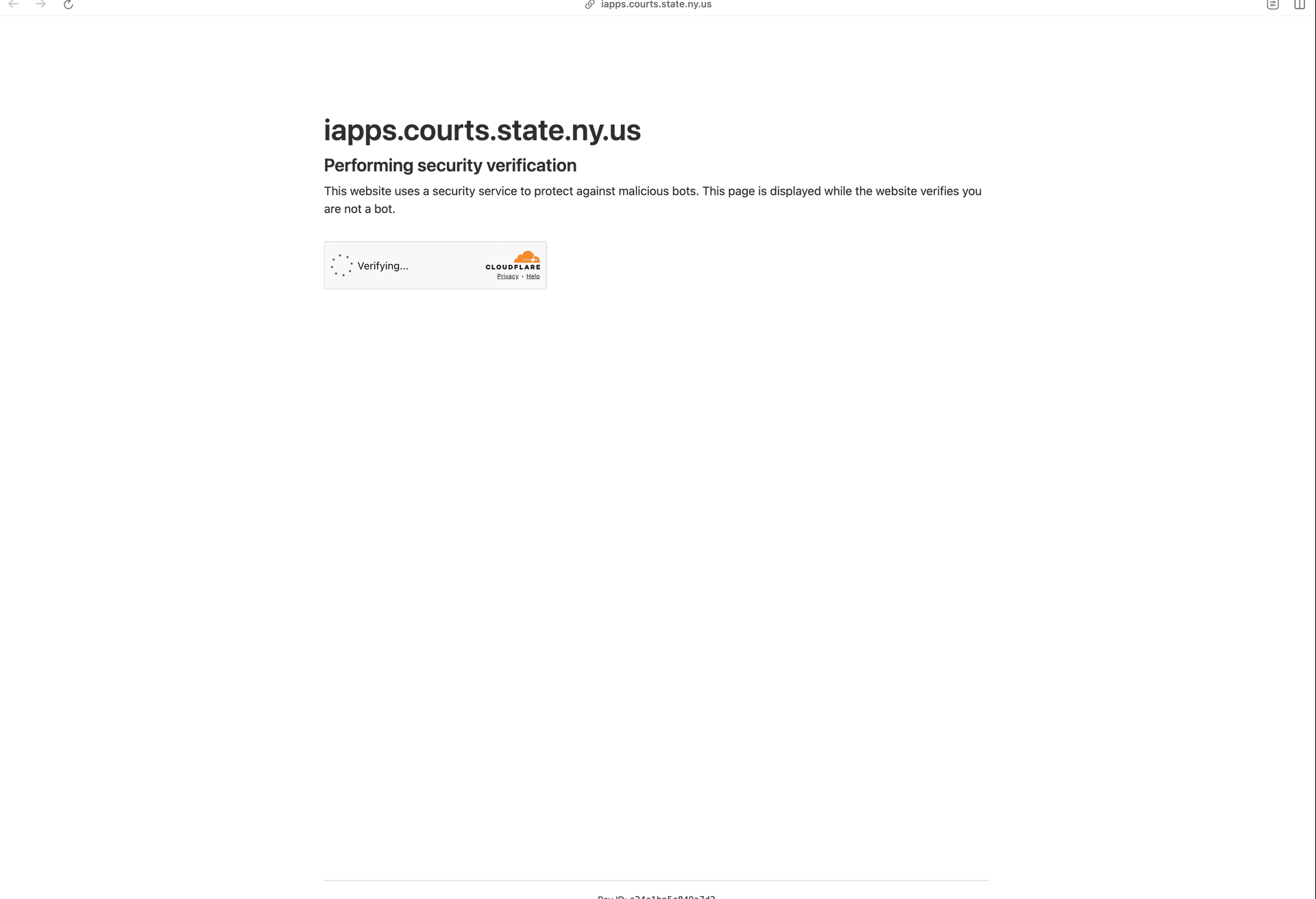 New York Surrogate Court Scraper — screenshot 9