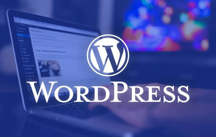 WordPress Development preview